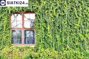 Siatki Legnica - Siatka z dużym oczkiem - wsparcie dla roślin pnących na altance, domu i garażu dla terenów Legnicy