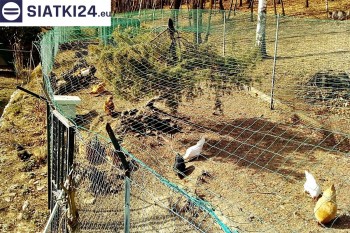 Siatki Legnica - Siatka na woliery - zabezpieczenia ptaków w hodowli dla terenów Legnicy